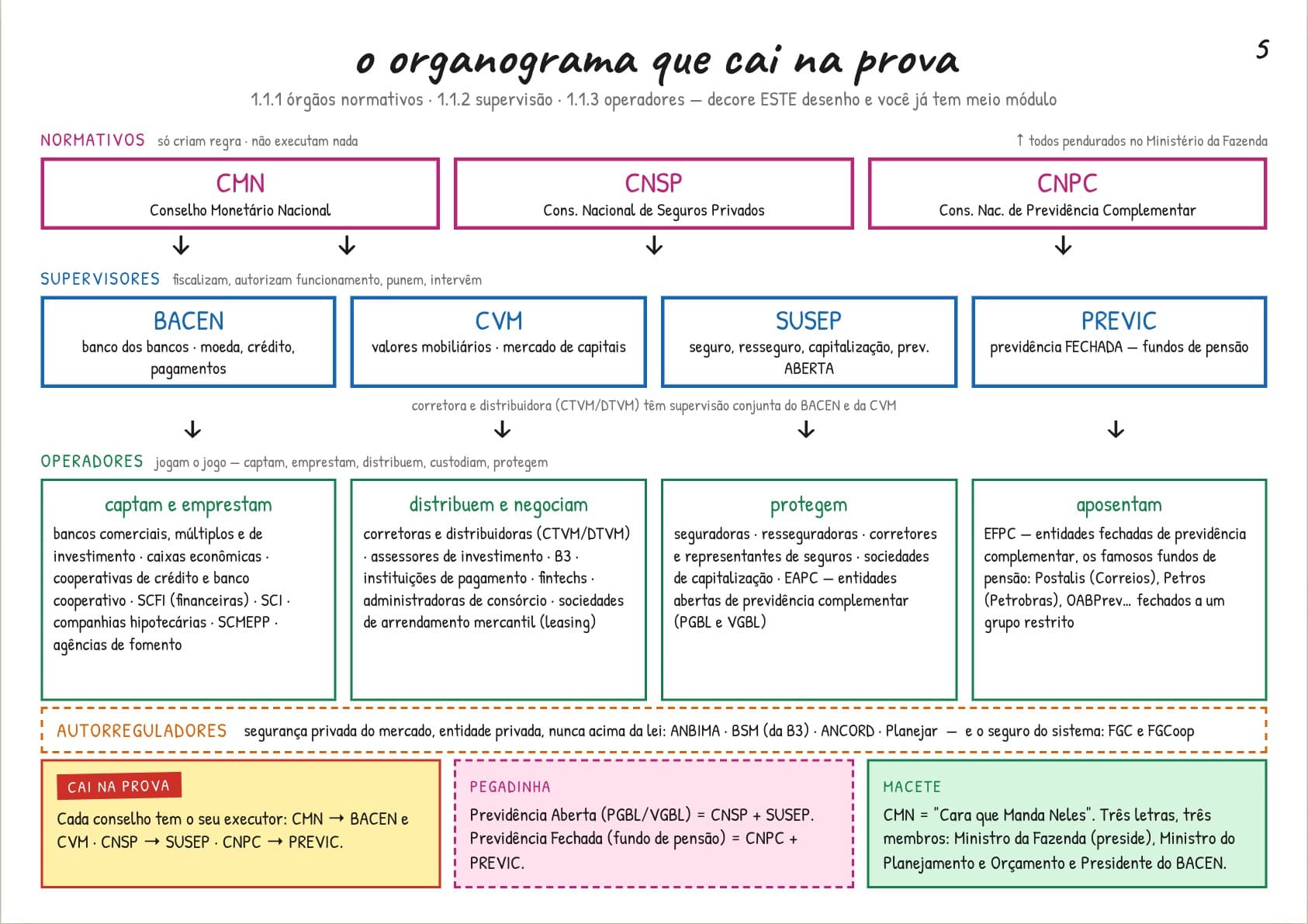 Organograma do Sistema Financeiro Nacional no material CPA Ninja